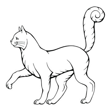  Hand drawn vector illustration of black and white walking cat isolated on white. For your heraldic and another design.