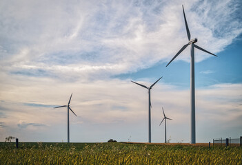 Windkraftanlagen auf einem Feld