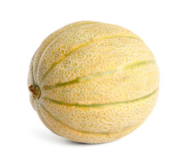 Tasty fresh ripe melon isolated on white