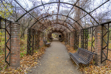 Empty garden house with dry wild grapes in an autumn city park
