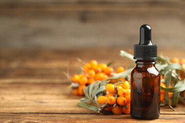 Natural sea buckthorn oil and fresh berries on wooden table. Space for text