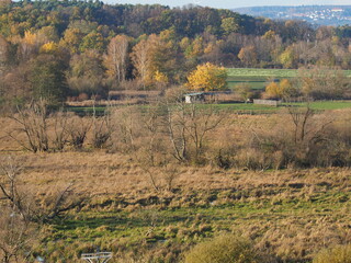 Biotop in Beeden im Saarlandes