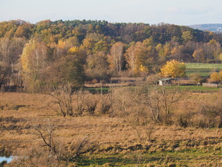 Biotop in Beeden im Saarlandes