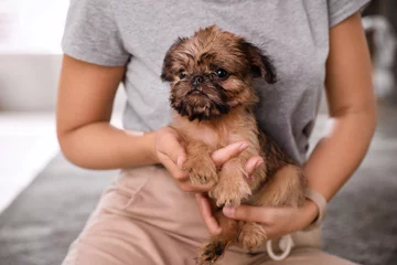 Foto op Canvas Woman holding adorable Brussels Griffon puppy indoors, closeup © New Africa