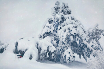 Winter landscape of the Crimean mountains