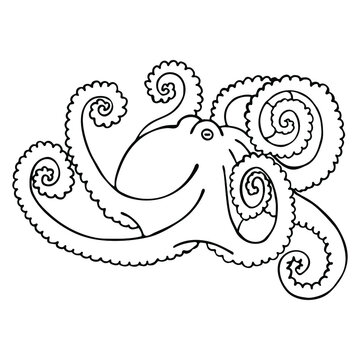 Hand drawn vector octopus isolated on white background. Black and white stock illustration for coloring books and pages.