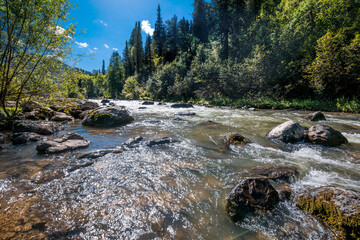 Iogach River. Altai, Russia