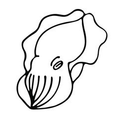 Hand drawn vector cuttlefish isolated on white background. Black and white stock illustration for coloring books and pages.