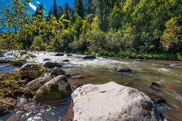 Iogach River. Altai, Russia