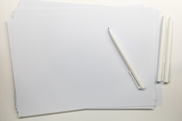 white blank paper with ball pen on table