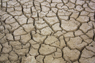 Area of a field with lack of irrigation due to drought
