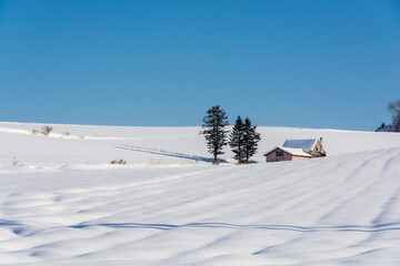 Fototapeta na wymiar 雪原の廃屋　美瑛町 