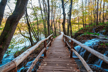 Wooden bridge in the forest, Plitvice lakes National park, Croatia.