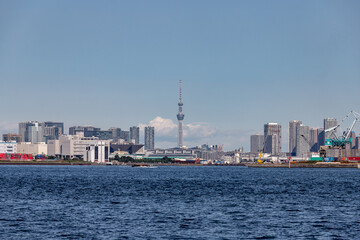 Fototapeta premium 東京港から見た東京スカイツリー