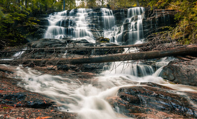 waterfall in the forest