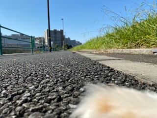 自然,日常