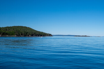 A small green tree covered island in the background surrounded by a deep blue calm ocean. The sky is deep blue with a light pink colour on the horizon. The island has a small hill and a sandy shore.