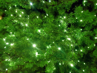 Fototapeta na wymiar Christmas tree with lights background