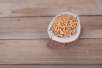 A small sack full of harvested wheat