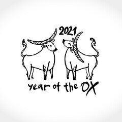 Fototapeta na wymiar Year of the Ox 2021 sketch vector illustration. Black ink brush Two cute cows are drawn. Illustration of year of the Ox 2021 Chinese New Year. 
