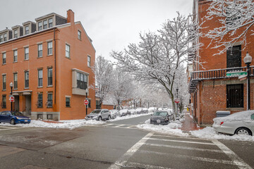 Freshly fallen snow clings to tree branches in Boston's South End