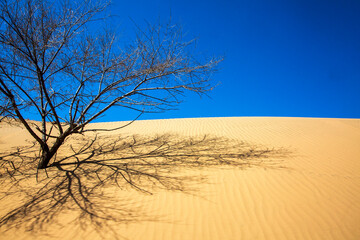Fototapeta na wymiar The Gobi Desert is a large desert or brushland region in East Asia.