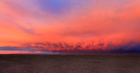 The Eastern Mongolian Steppes are home to the largest remaining intact temperate grasslands of the...