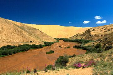 Mukhart River sources out of Great Mongol desert towers 450 m above the surrounding plain. 