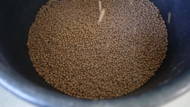 Animal feed production process. Fish food.