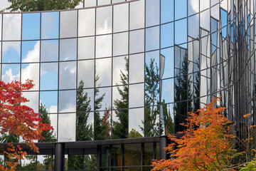 Autumn foliage reflected in the windows of an office building