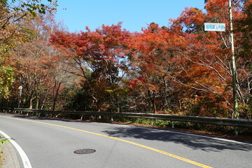 周山街道