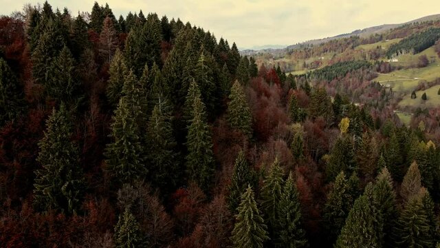 Monte Grappa - Autumn