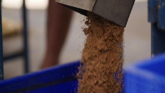 Animal feed production process. Fish food.