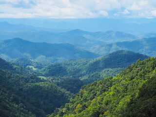 Fototapeta na wymiar Green treetops on the mountain against blue sky.