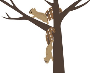 可愛い仕草のリスセット