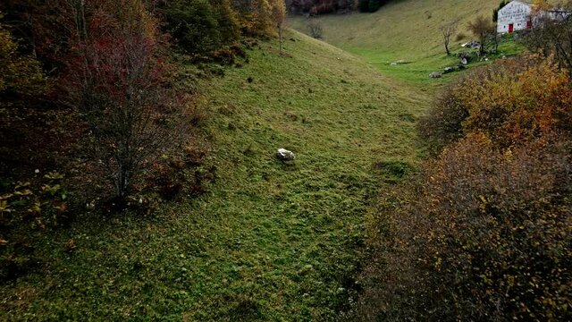 「Solagna」の写真素材 29件の無料イラスト画像 Adobe Stock