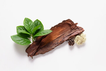 Tree bark and green branch on light background. Eco Concept. Top view. 