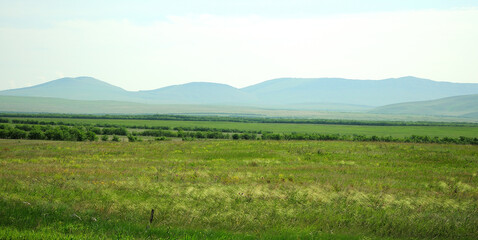 Panoramic shot of endless steppe lying in a fertile valley with mountains in the background.