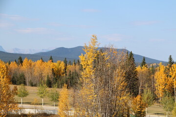 Autumn Among The Mountains, Nordegg, Alberta