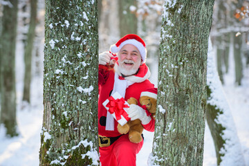 Santa Claus in the winter forest with a bag of gifts, snow landscape. Happy New Year.