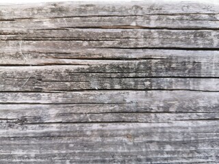 textura de madera vieja 