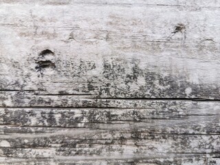 textura de madera vieja destruida