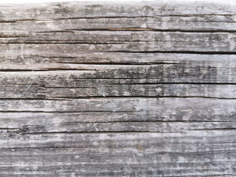 textura de madera vieja 