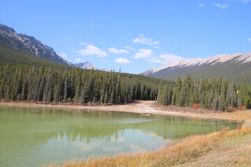 Fototapeta na wymiar Wetland By The Road, Nordegg, Alberta