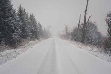 Rural Winter Landscape during Snowstorm