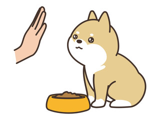 ドッグトレーニング　待て　ドッグフードと柴犬