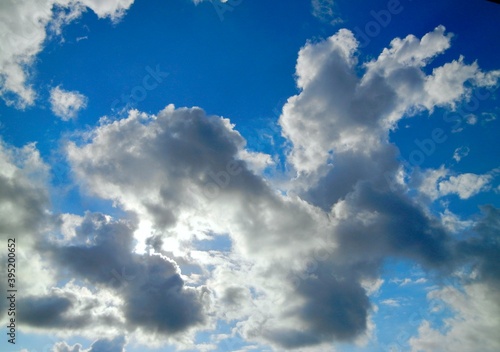 青空と雲 背景 素材 Wall Mural Wallpaper Murals さるナース 青空と雲 背景 素材 Wall Mural Wallpaper Murals さるナース
