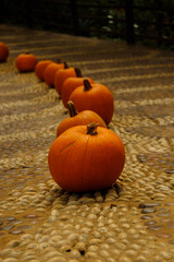 pumpkins on stone path