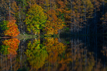 長野県茅野市　御射鹿池の紅葉