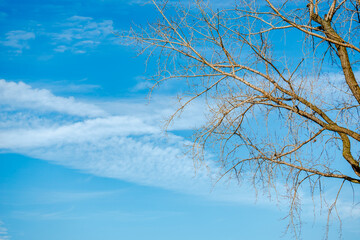 Fototapeta na wymiar Blue sky with the clouds 